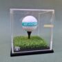 Golf Ball Display Case, thumbnail 7 of 10