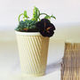 Corrugated Succulent Pot, thumbnail 9 of 11