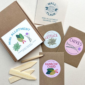 Grow Your Own Mini Allotment Seed Gift Kit, 3 of 7