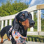 Little Enchanted Meadows Floral Dog Harness, thumbnail 10 of 11