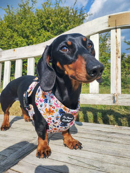 Little Enchanted Meadows Floral Dog Harness, 10 of 11