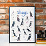 'Shags' Illustrated Bird Art Print, thumbnail 2 of 2