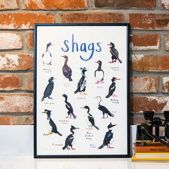 'Shags' Illustrated Bird Art Print, 2 of 2