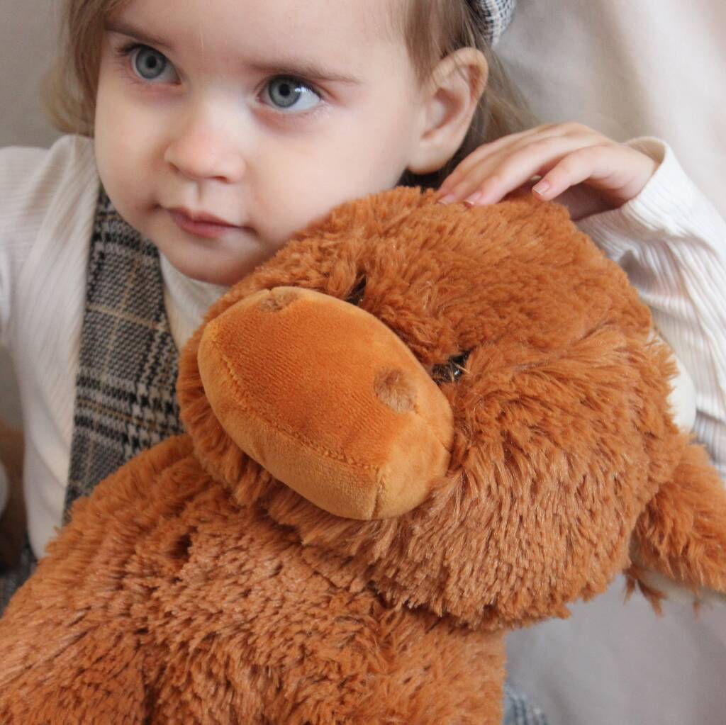 Highland Brown Cow Large Soft Toy, From Birth, 1 of 5