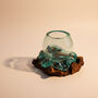 Molten Glass Decorative Bowl, Fruit Bowl And Terrarium, thumbnail 5 of 9