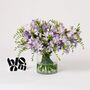 Violet Dust Freesia Fresh Flower Bouquet, thumbnail 1 of 2