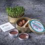 Grow Your Own Microgreens Teeny Greeny Micrology® Kit, thumbnail 9 of 12