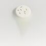 Harmony Aromatherapy Shower Steamer Grapefruit, Bergamot, Rosemary, Lemon Tea Tree And Rosemary Seeds, thumbnail 2 of 4