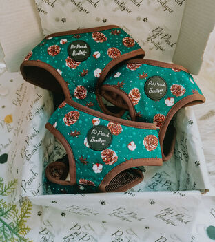 Forest Fir Cone Dog Harness With Optional Set, 2 of 10