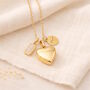 Personalised Engraved Heart Cremation Necklace With Birthstone, thumbnail 1 of 11