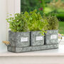 Three Zinc Herb Garden Planters On Tray, thumbnail 3 of 8
