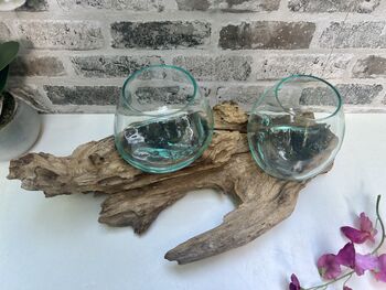 Teak Root Wooden Display With Double Molten Glass Bowls, 2 of 11