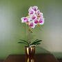 Pink Orchid Artificial Gold Pot 48cm Harlequin, thumbnail 1 of 3