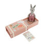Wild Wanderers 'Betsy The Bunny' Matchbox Toy | Gift Boxed | Baby Shower, thumbnail 3 of 6