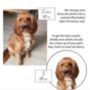 Two Or More Pet Personalised Christmas Card, thumbnail 3 of 7