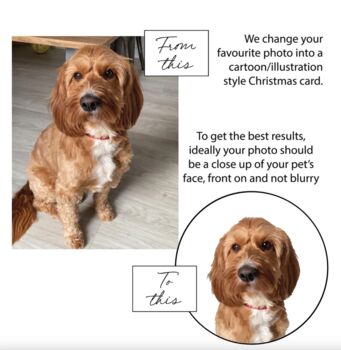 Two Or More Pet Personalised Christmas Card, 3 of 7