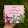 Cocktail Herbs Seed Kit, thumbnail 1 of 7