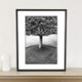 Geometry, Tree, Wimpole Estate Photographic Art Print, thumbnail 1 of 4