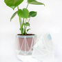 Origami Self Watering Eco Plant Pot: 18cm | Blue Cord, thumbnail 4 of 5