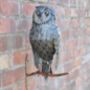 Owl Garden Wall Ornament, thumbnail 1 of 3