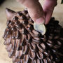 Hedgehog Piggy Bank, Money Box, thumbnail 2 of 9