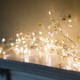 Coco Fairy Lights, thumbnail 1 of 7