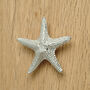 Large Starfish Solid Pewter Cabinet Handle, Door Knobs, thumbnail 1 of 9