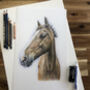 Hand Drawn Pencil Pet Portrait Drawing Or Gift Voucher, thumbnail 6 of 12