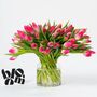 Cerise Pink Tulips Fresh Flower Bouquet, thumbnail 1 of 3
