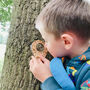 Wooden Toy Magnifying Glass, thumbnail 3 of 8