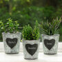 Set Of Three Personalised Herb Planters, thumbnail 8 of 11