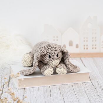 Bunny Rabbit Easy Crochet Kit, 2 of 10
