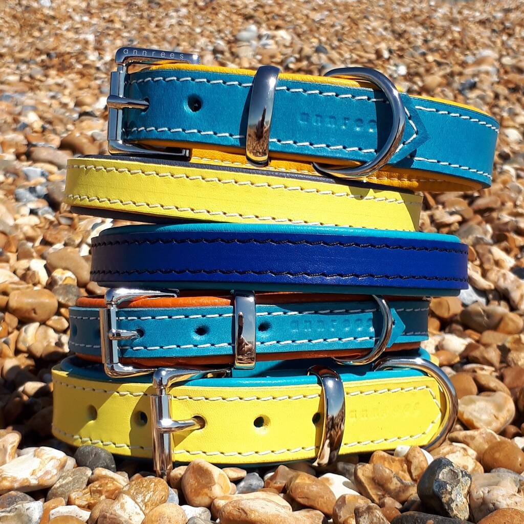 Padded Leather Dog Collar, 1 of 9