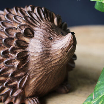 Hedgehog Piggy Bank, Money Box, 5 of 9