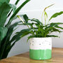 Handmade Green And Cream Plant Pot, thumbnail 1 of 3