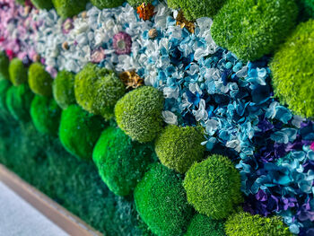 Moss Wall Art With Preserved Flowers, Floral Artwork, 9 of 12