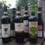Enthusiast Selection: The Explorer * Six Red Wines, thumbnail 1 of 5