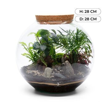 Large Globe Terrarium Kit With Bonsai | 'Portland', 9 of 10