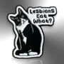 Lesbians Eat What Pussy Cat Enamel Lapel Pin Badge, Gay Pride Brooch, Inclusive Lgbtqia+ Gift, thumbnail 3 of 8
