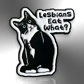 Lesbians Eat What Pussy Cat Enamel Lapel Pin Badge, Gay Pride Brooch, Inclusive Lgbtqia+ Gift, 3 of 8