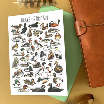 Ducks Of Britain Greeting Card, 3 of 12