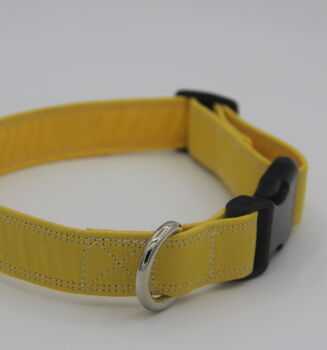 Yellow Dog Collar, 6 of 10