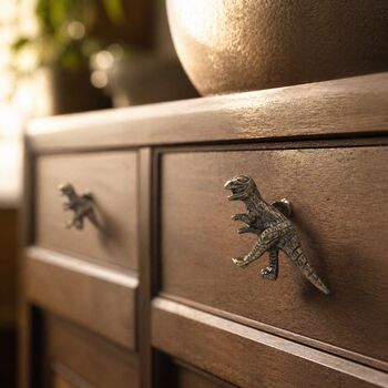 Dino Charm Drawer Knob, 4 of 9