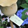 Speckled Ceramic Personalised Poppy Seed Head, thumbnail 5 of 7