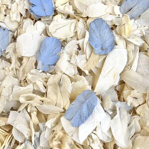 Natural Confetti Packets Tray Set Biodegradable Wedding Confetti Dried Flower Petals 20 Guests Eco Wedding Classic Petals
