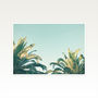 Summer Time Photographic Palm Tree Print, thumbnail 2 of 2