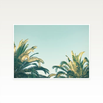 Summer Time Photographic Palm Tree Print, 2 of 2