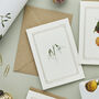Botanist Archive Snowdrop Christmas Card, thumbnail 1 of 4