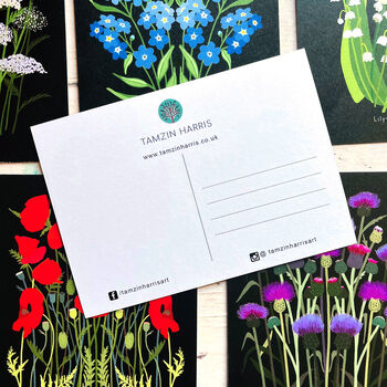 Wildflower Illustrated Postcards, 9 of 9