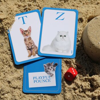 I Am Zat Cat ~ Card Game For Cat Lovers, 4 of 8